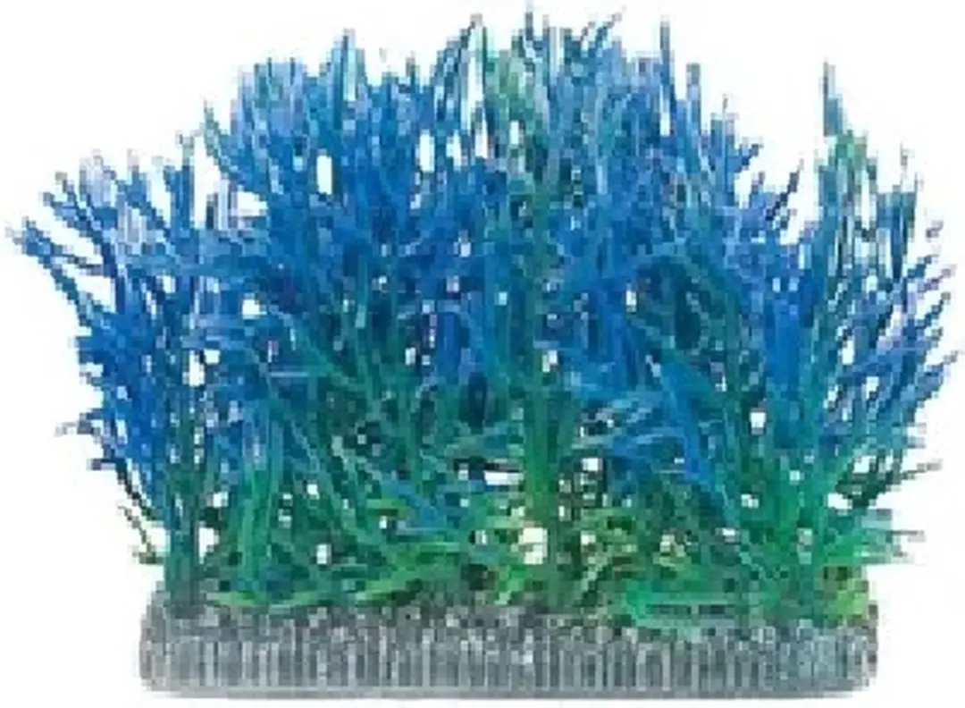 Flamingo Assorti Aquariumplant Voorgevel - 11.5x5x7.5cm - afbeelding 6 van 6