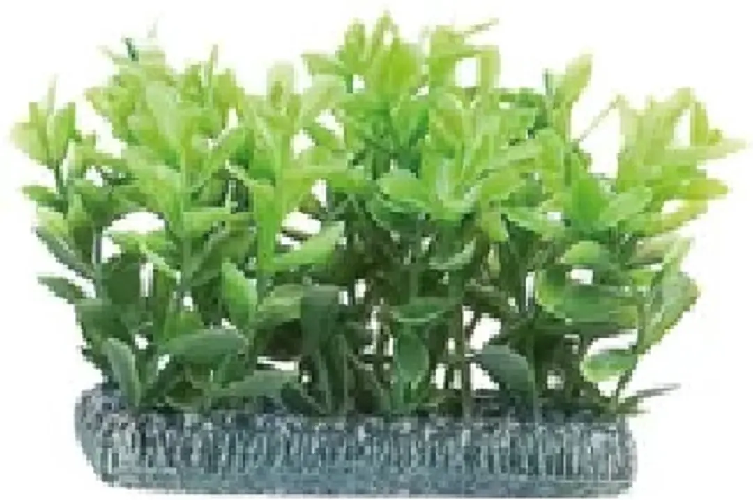 Flamingo Assorti Aquariumplant Voorgevel - 11.5x5x7.5cm