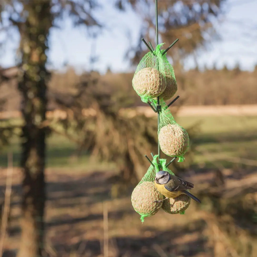 Esschert Design Vogelvoederhuisje Groen - afbeelding 6 van 6