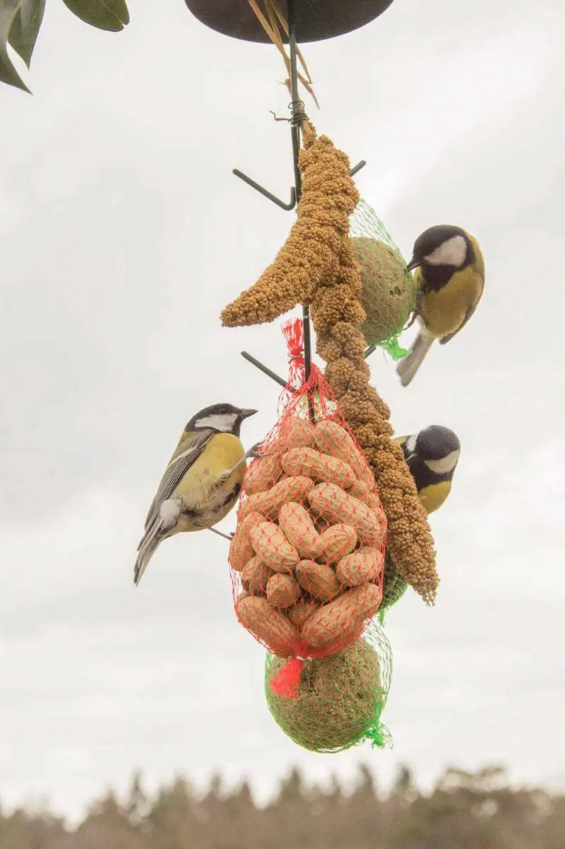 Esschert Design Vogelvoederhuisje Groen