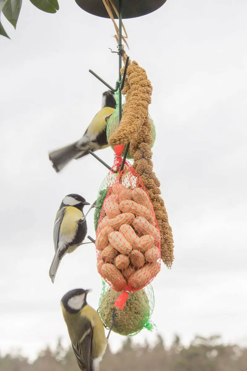 Esschert Design Vogelvoederhuisje Groen