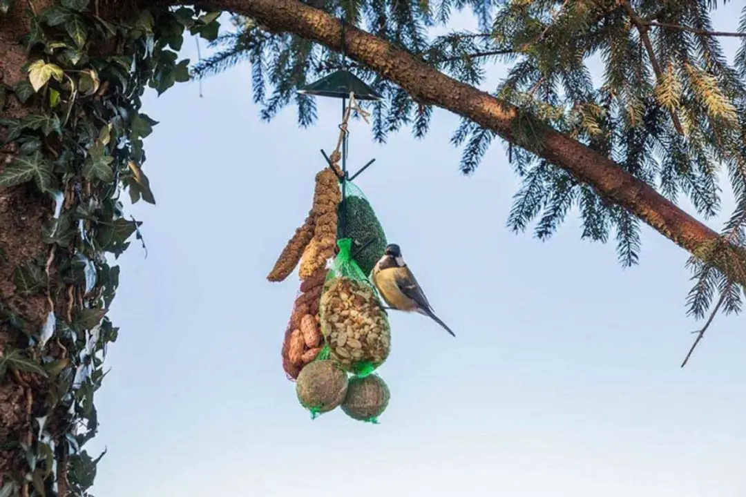 Esschert Design Vogelvoederhuisje Groen