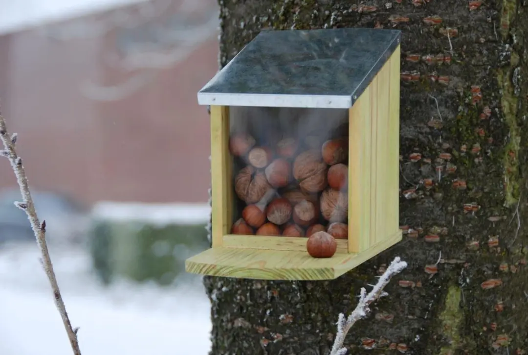 Esschert Design Eekhoorn Voederhuis + Voer 500g