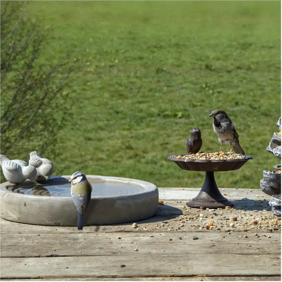 Esschert Design Vogelbad Beton - 29x29cm - Grijs - afbeelding 2 van 6