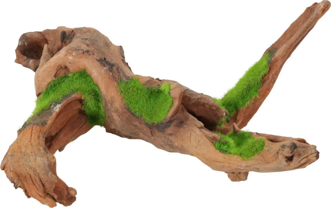 Zolux Malaysia Root M Aquarium Ornament