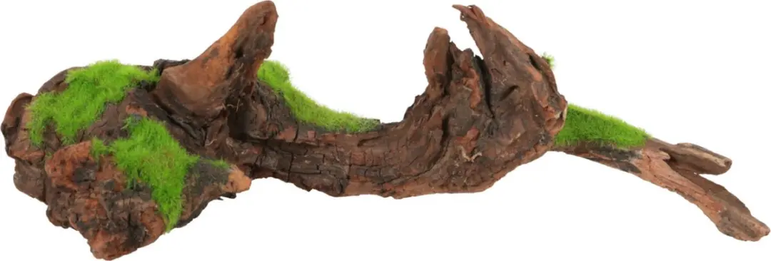 Zolux Malaysia Root M Aquarium Ornament - 29,9x15,4x13,4cm