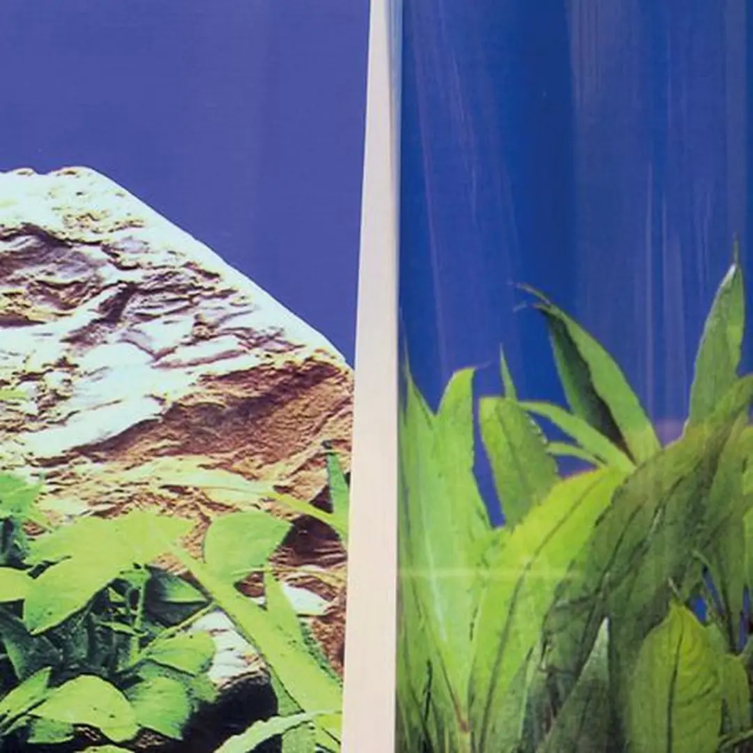 JBL Fixol Aquarium Achterwandlijm