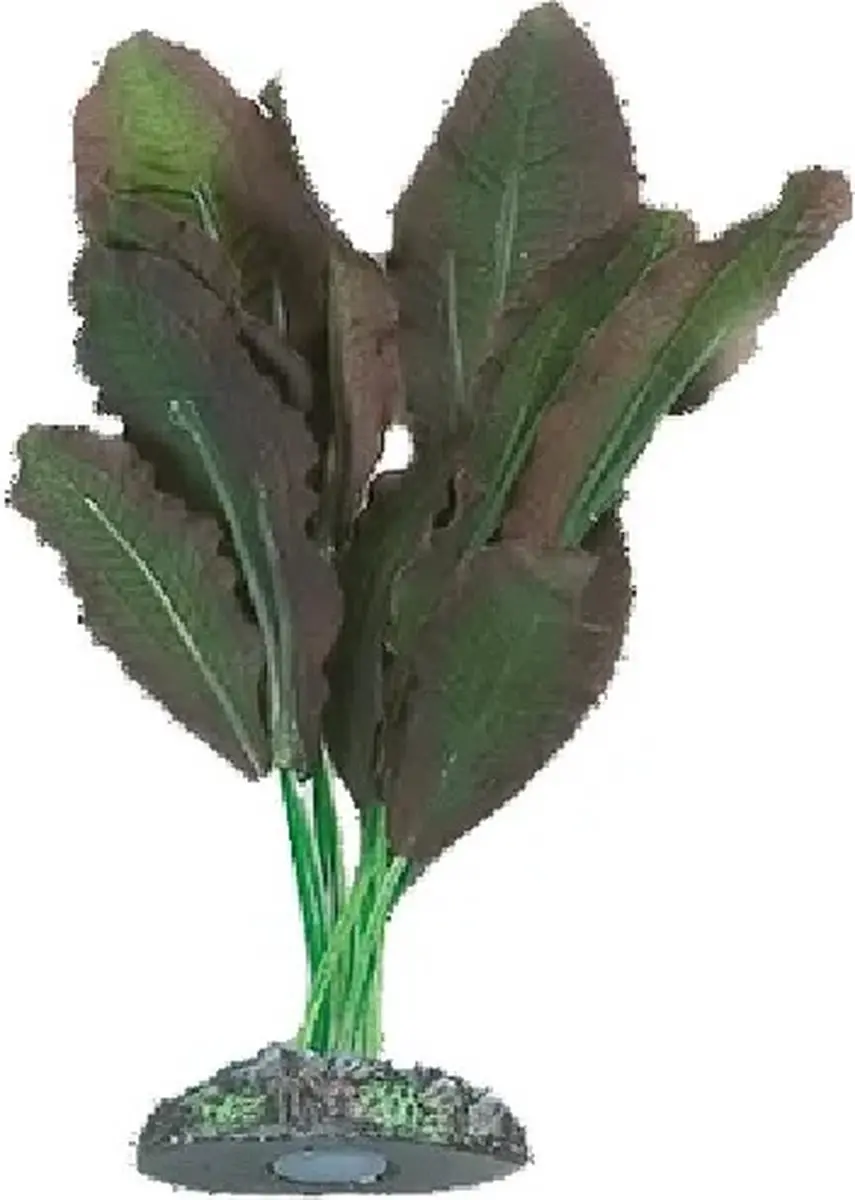 Flamingo Aquarium Zijde Congo Plant Decoratie 9 cm