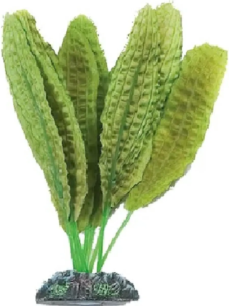 Flamingo Aquarium Zijde Congo Plant Decoratie 9 cm