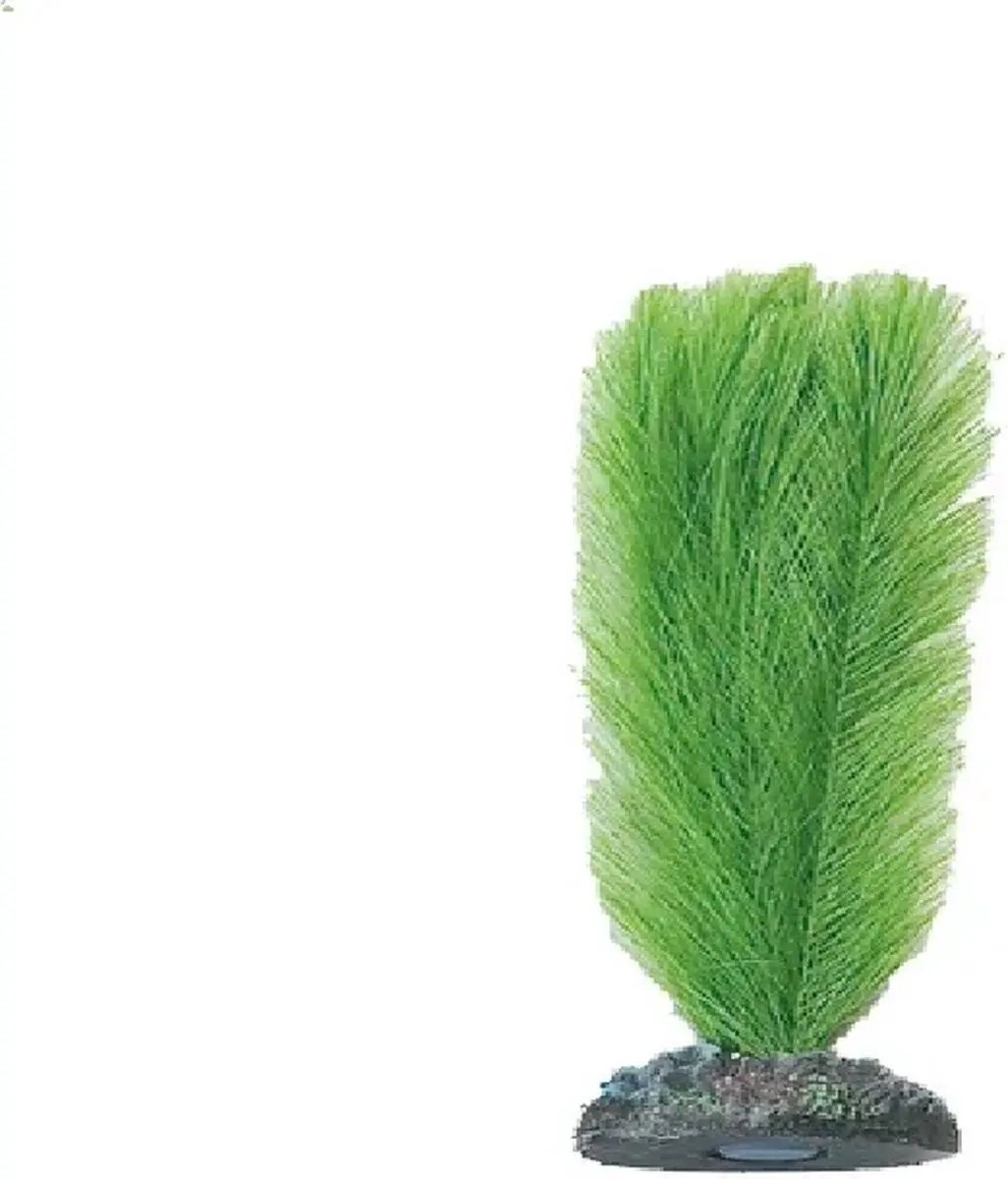 Flamingo Aquarium Zijde Congo Plant Decoratie 9 cm