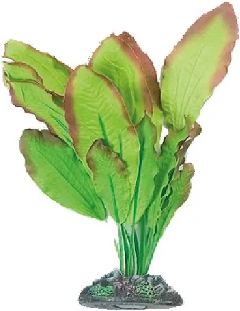 Flamingo Aquarium Zijde Congo Plant Decoratie 9 cm