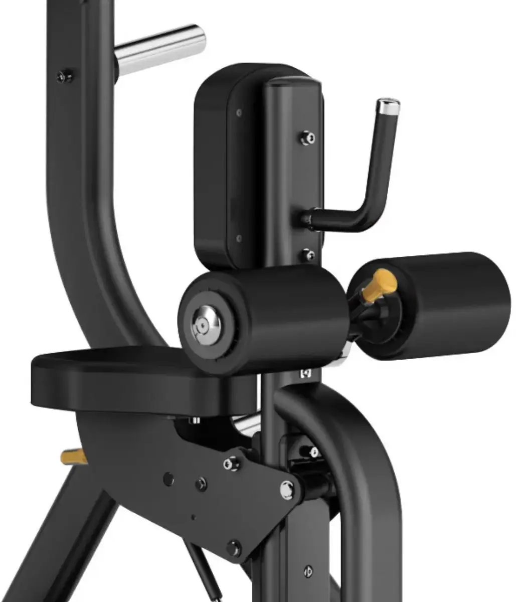 Toorx Professional High Row FWX-8300 - Zwart