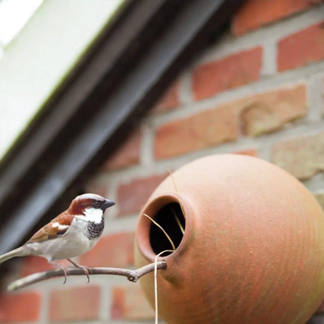 Esschert Design Vogelhuisje Hangend Terracotta - 1 Inloopopening