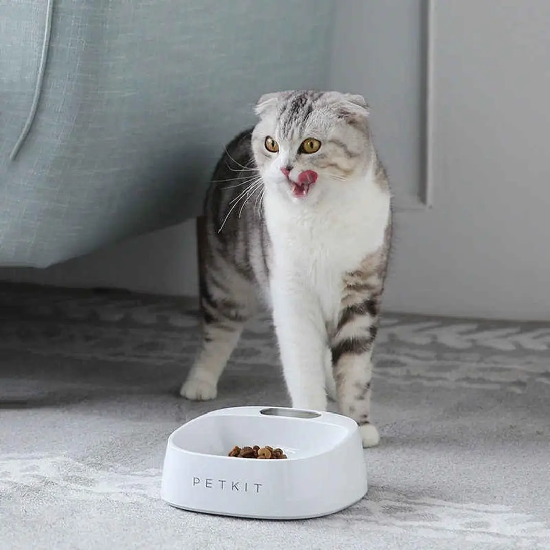 Petkit Slimme Voerbak met Weegschaal 18cm - Wit