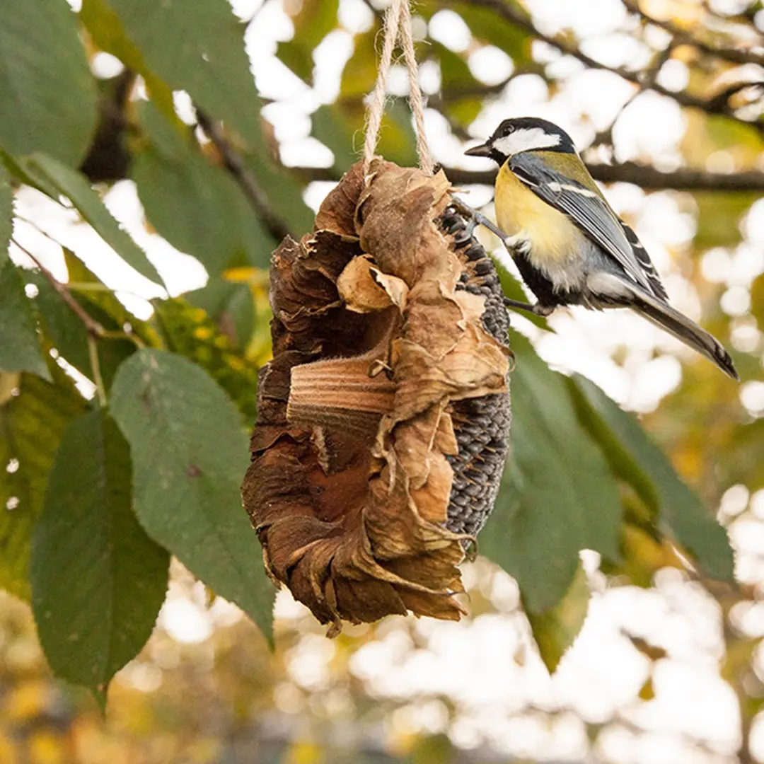Esschert Design Zonnebloem Vogelvoer Hangend - 1x Multi