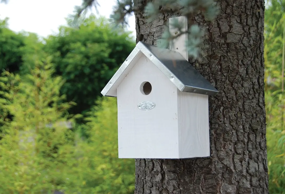 Esschert Design Nestkast Pimpelmees - Wit - Hangend