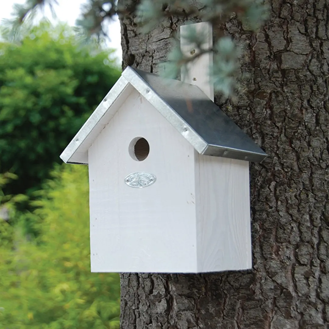 Esschert Design Nestkast Pimpelmees - Wit - Hangend