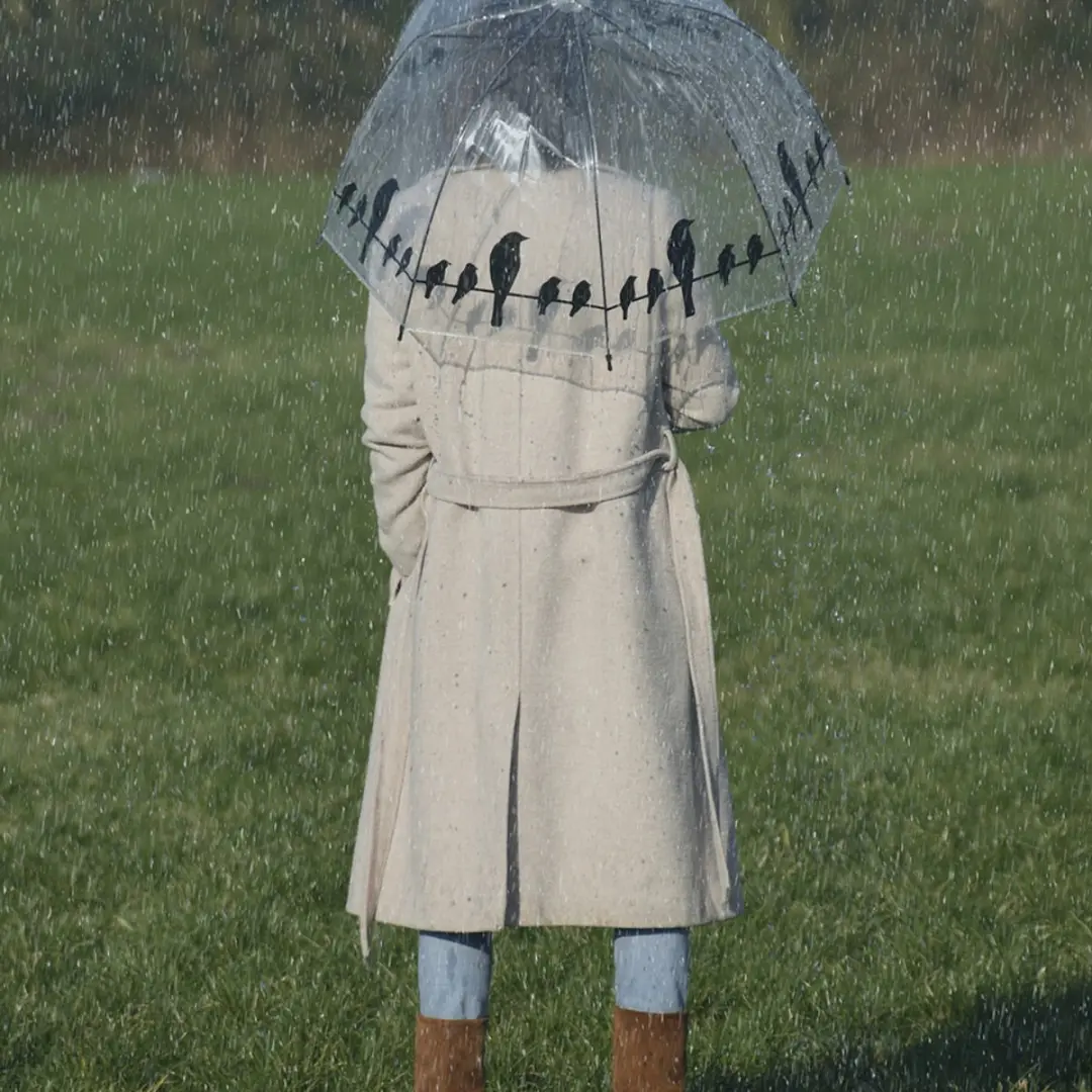 Esschert Design Paraplu Transparant Vogels - afbeelding 6 van 6