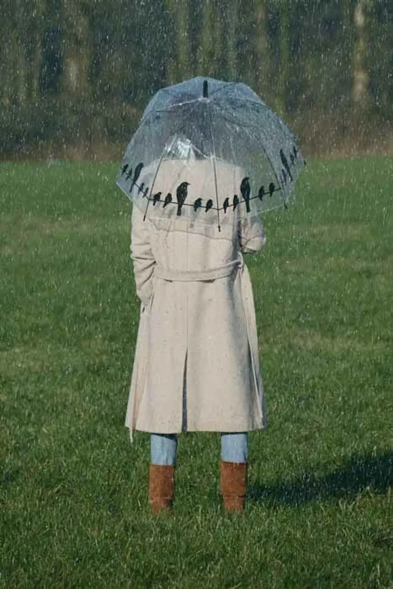 Esschert Design Paraplu Transparant Vogels