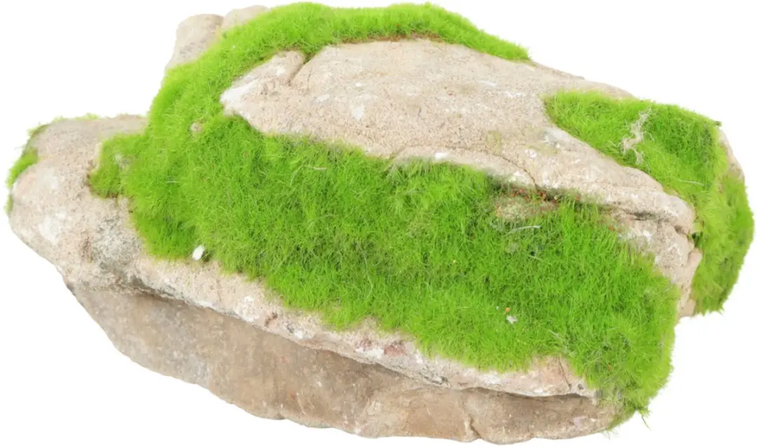 Zolux Groeiend Decor Steen Grijs - Aquarium Ornament M