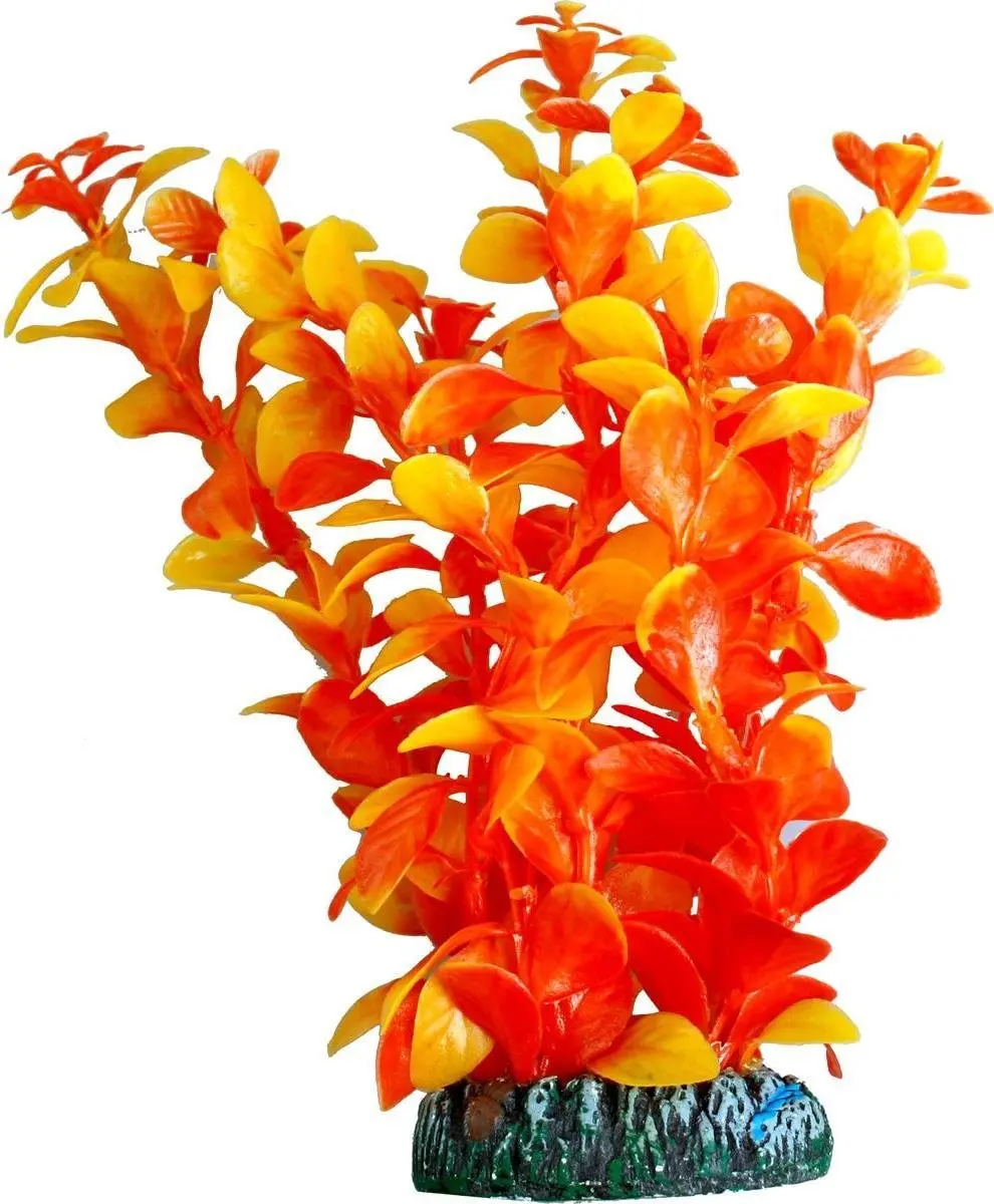 Flamingo Aquariumplant Cuba XS - 9x4x9.5cm - afbeelding 6 van 6