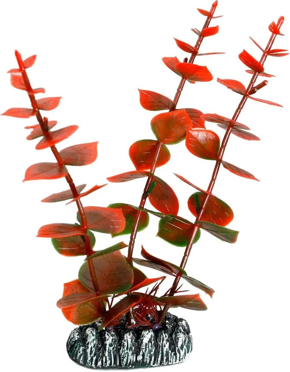 Flamingo Aquariumplant Cuba XS - 9x4x9.5cm