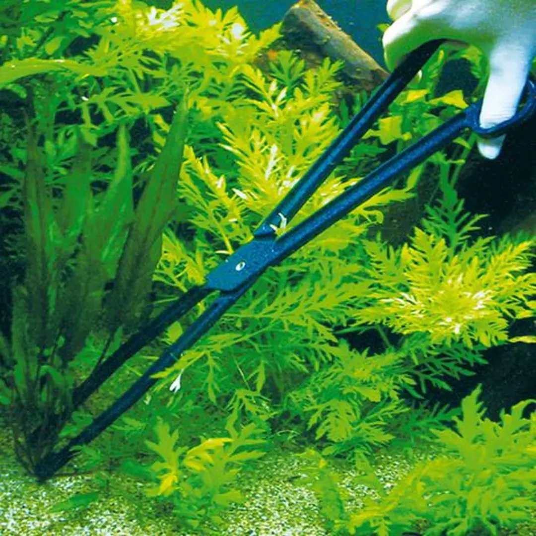 JBL Combifix 46cm Plantentang