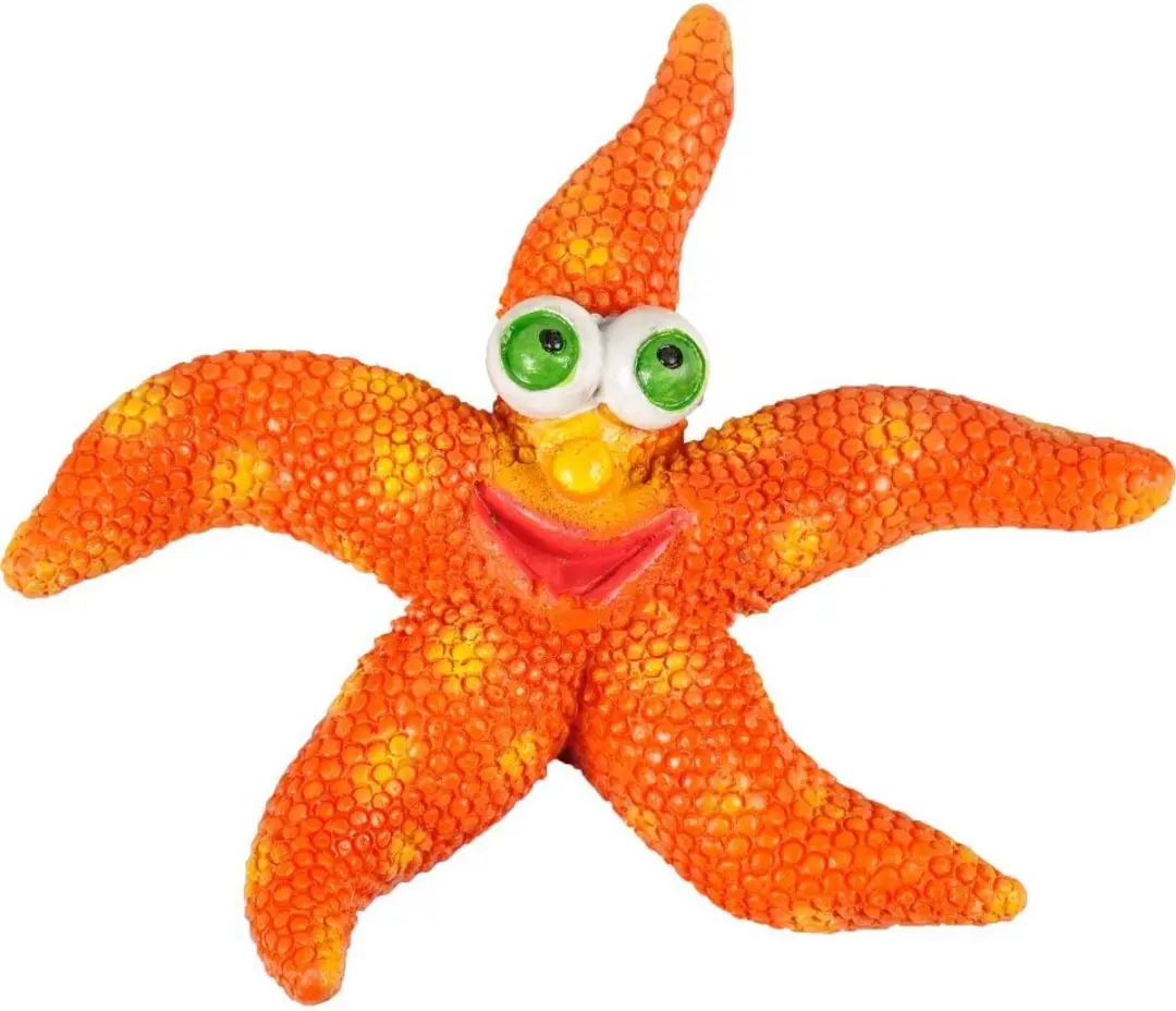 Flamingo Aquarium Leto Zeesterren - Oranje