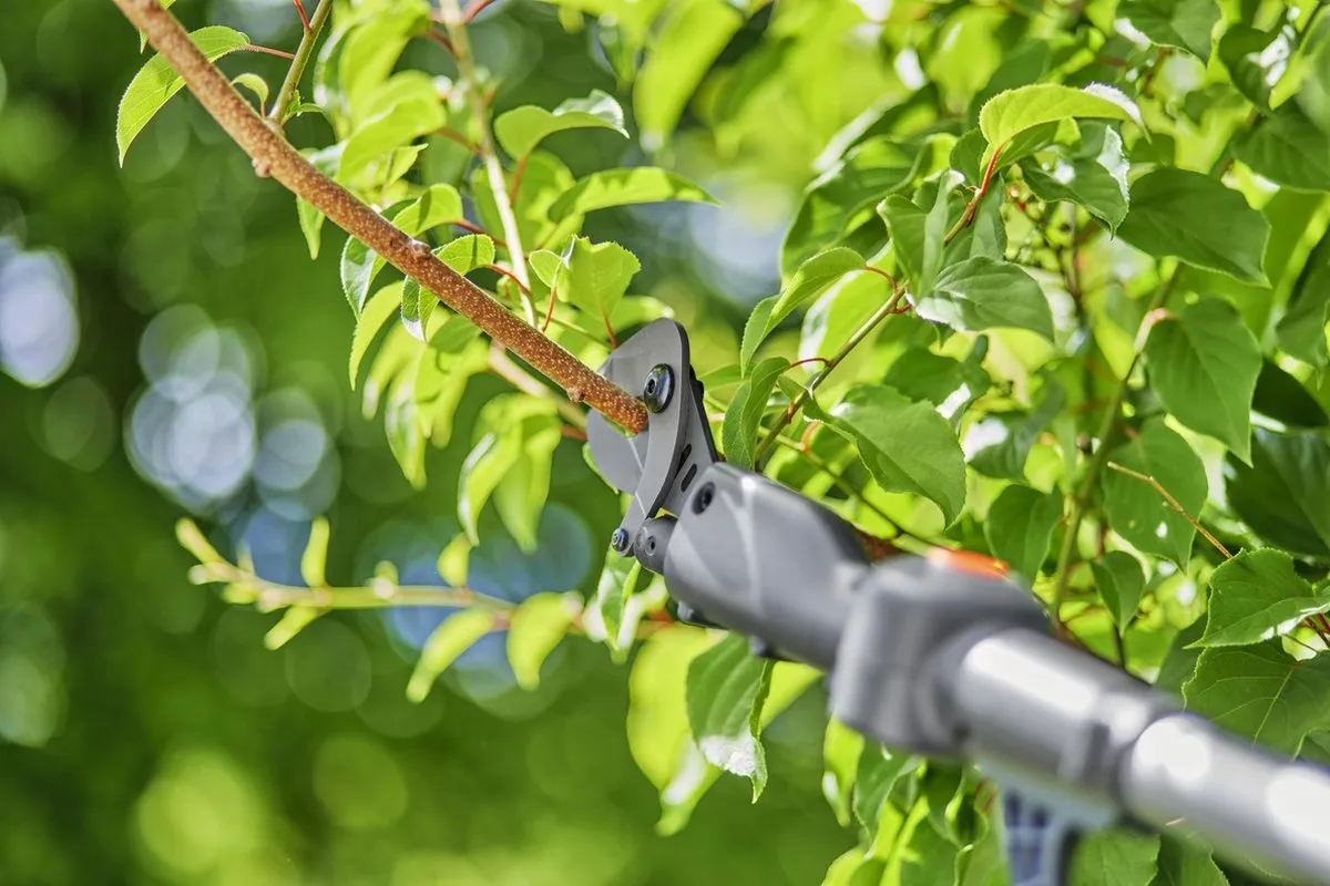 GARDENA HighCut 250/ Read 14774-20 Takkenschaar