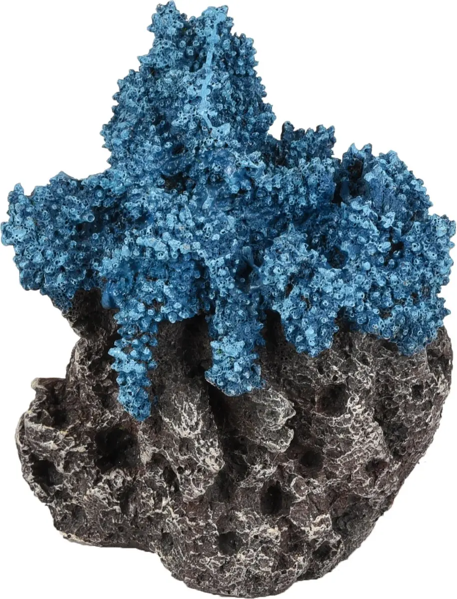 Flamingo Aquarium Floralia Koraalrots Blauw 10x8x15cm