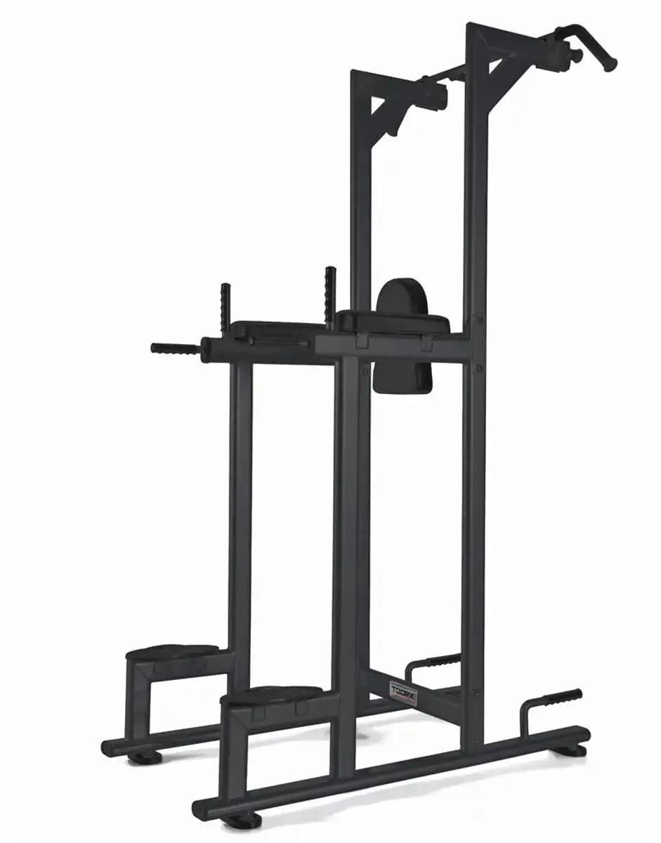 Toorx Professional WBX-B2800 Chin/Dip/Leg Raise