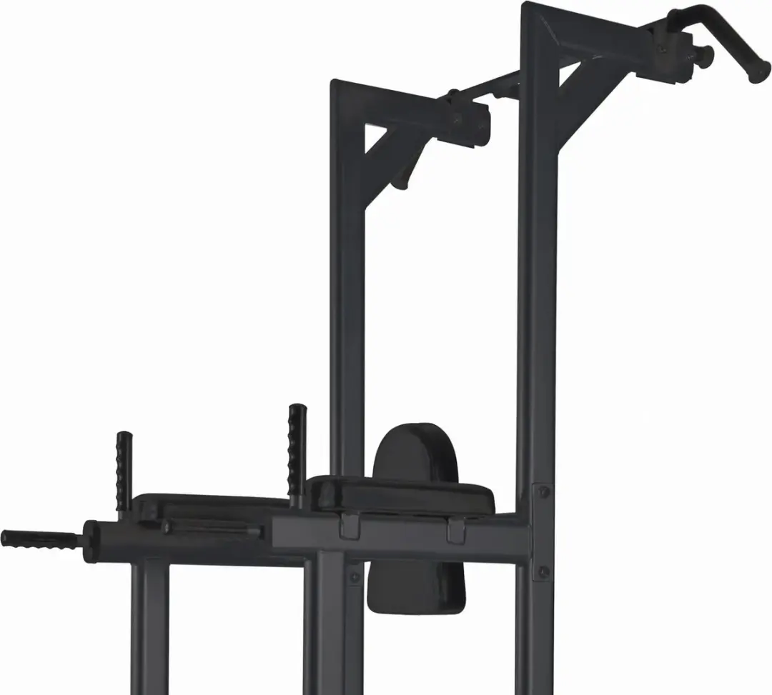 Toorx Professional WBX-B2800 Chin/Dip/Leg Raise - Zwart