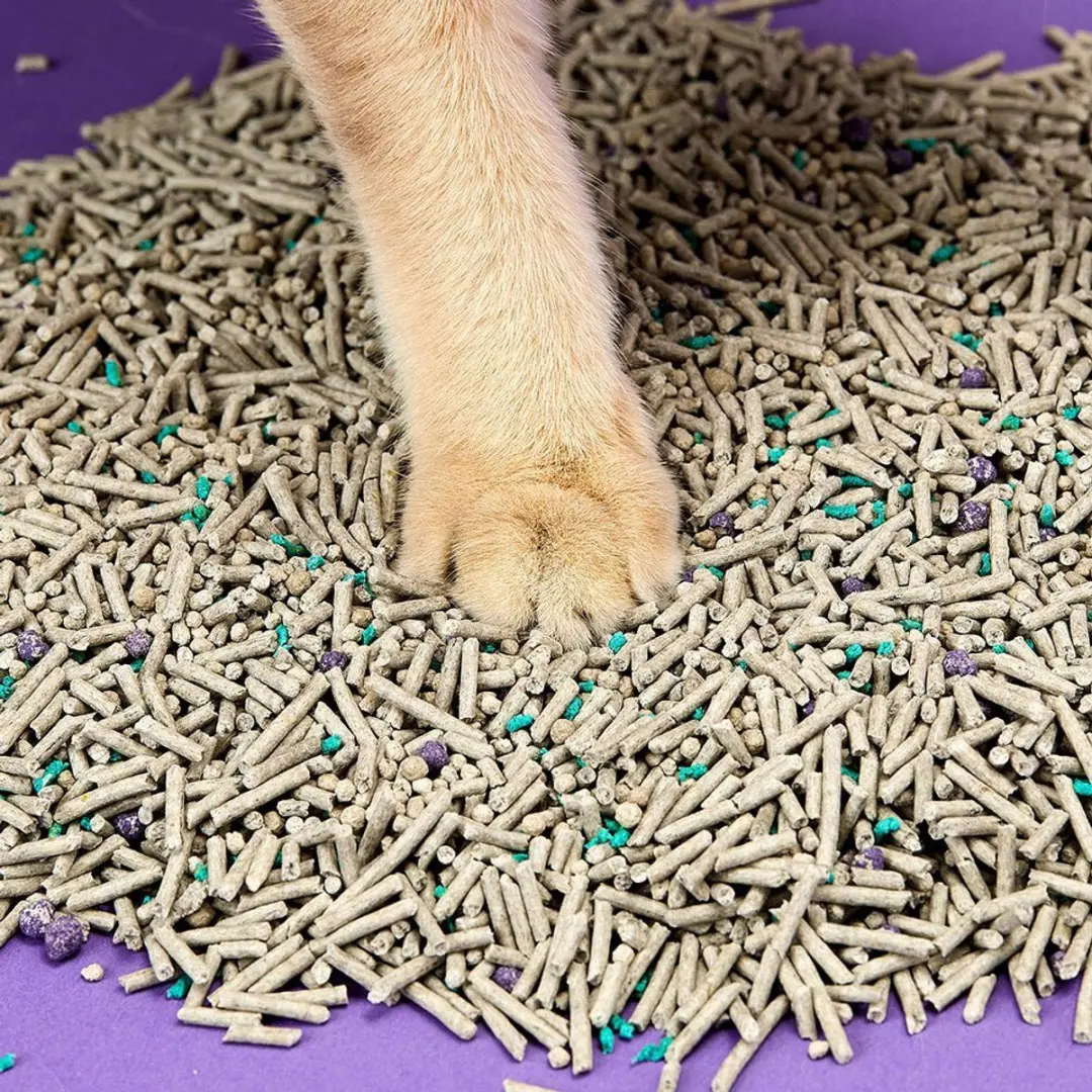 Petkit 5-in-1 Kattenbakvulling - 3.6 kg - afbeelding 5 van 6