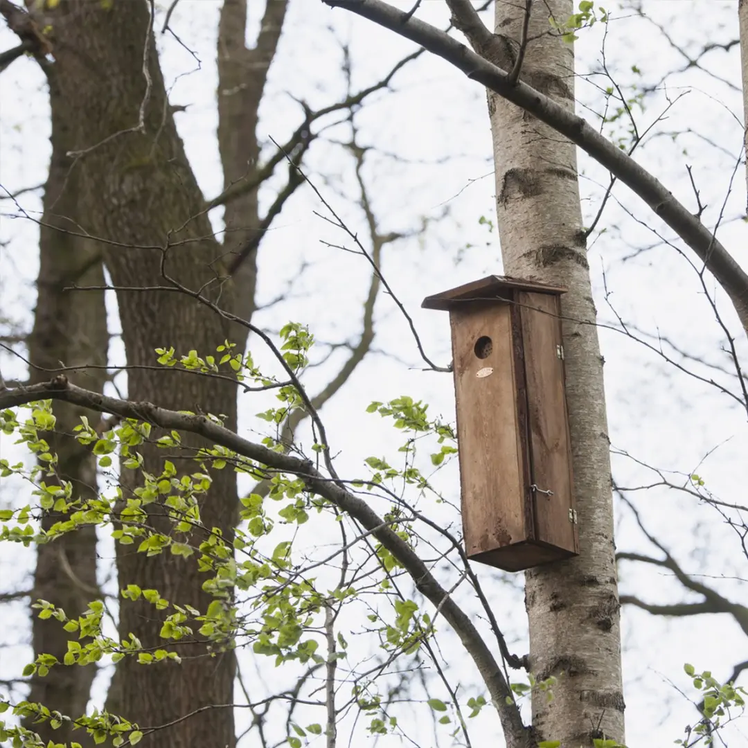 Esschert Design Bonte Specht Vogelhuisje - Hangend
