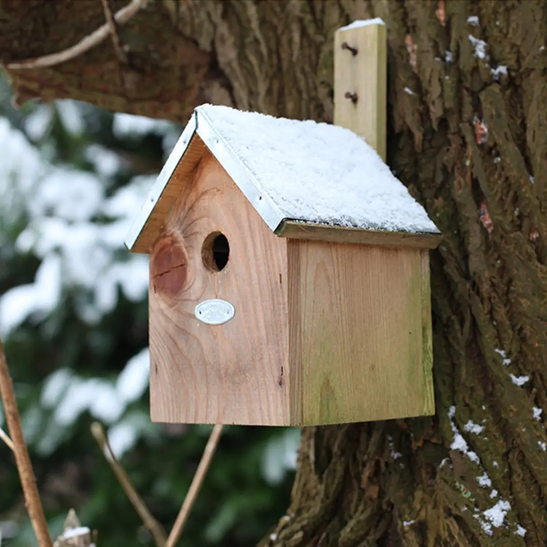 Esschert Design Pimpelmees Vogelhuisje 20x18x31cm - Grijs