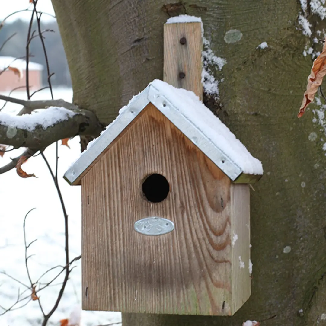 Esschert Design Pimpelmees Vogelhuisje 20x18x31cm - Grijs