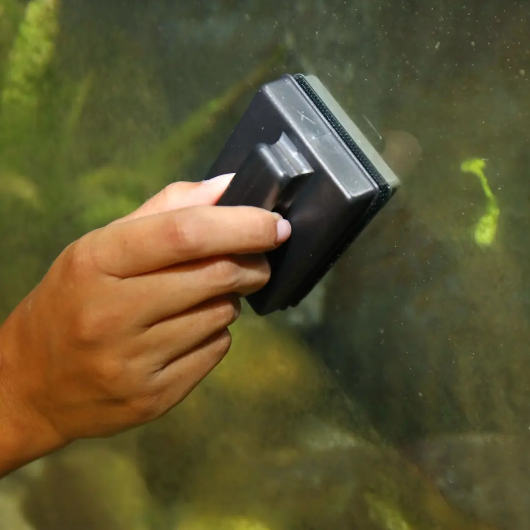 JBL Algenmagneet voor Aquariumruit L - 15mm