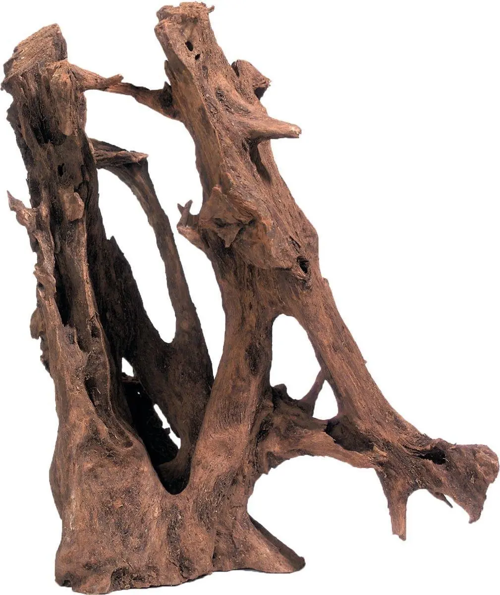 Flamingo Mangrove Wortel Terrarium Hout