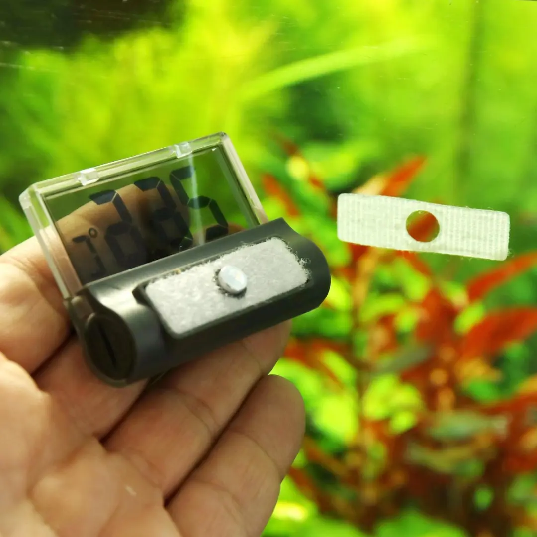 JBL DigiScan Aquariumthermometer - Zwart