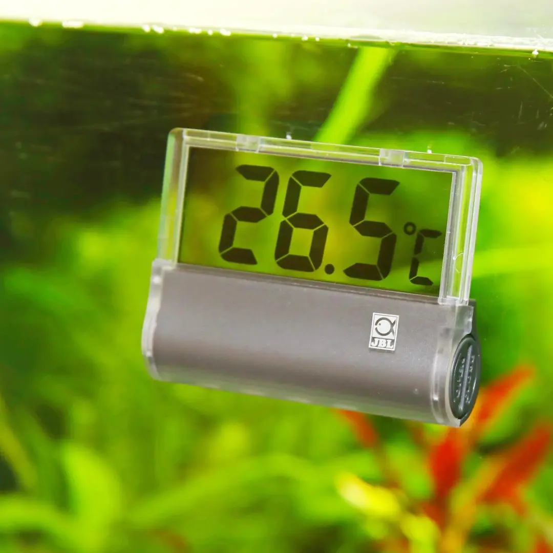 JBL DigiScan Aquariumthermometer - Zwart