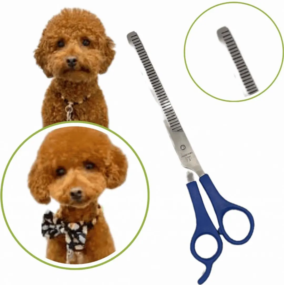 Guardian Beauty Complete Grooming Set Huisdieren - 5 Stuks - Blauw