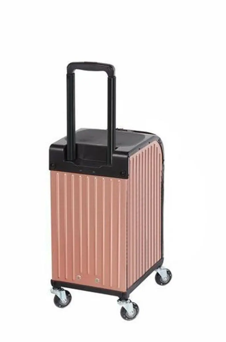 Sibel RollerCoaster StoolCase Rosé - Goud
