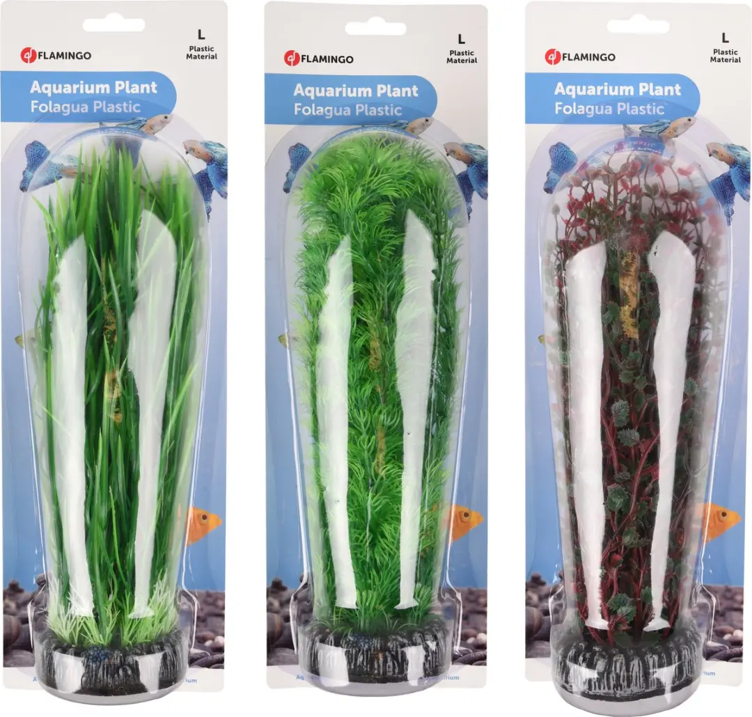 Flamingo Aquariumplant Sri Lanka - L 28cm - Willekeurig