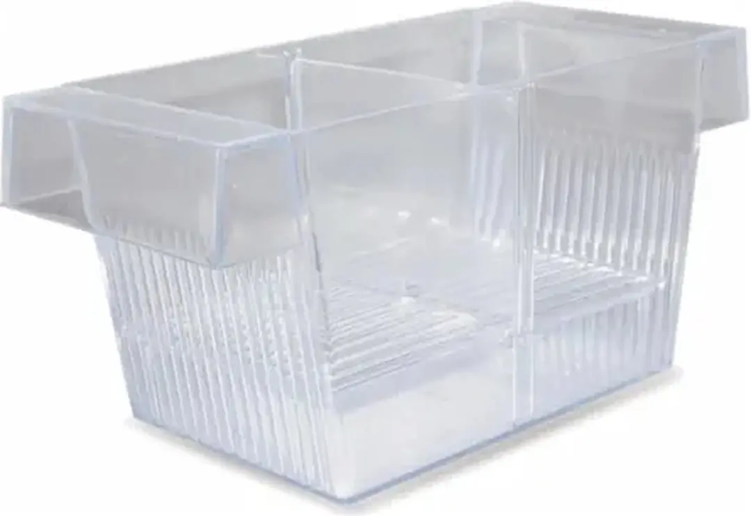 Beeztees Guppytank Aquarium 20x9x10cm - Doorzichtig