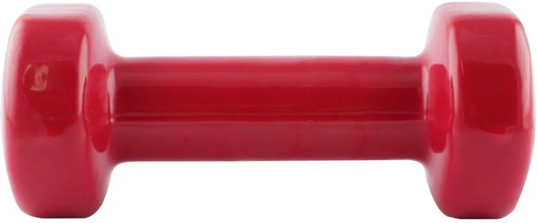 HMS Gietijzeren Dumbbell 2kg - Rood