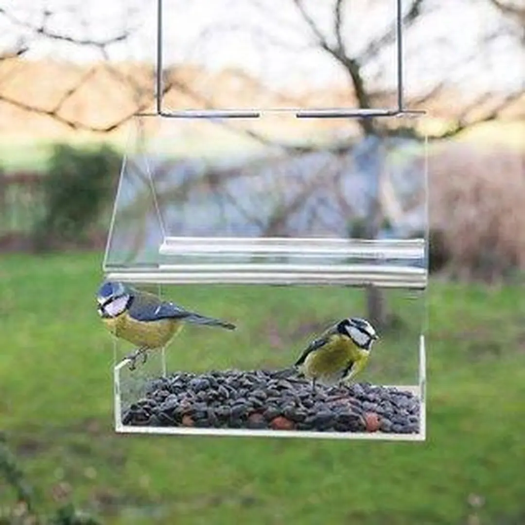 Esschert Design DUO Vogelvoederhuisje Transparant 15x15x15cm