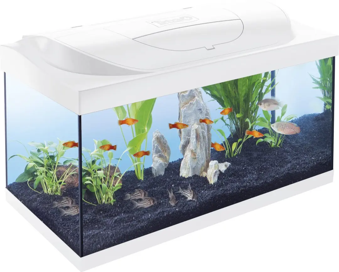 Tetra Aquarium Starter Line 54L