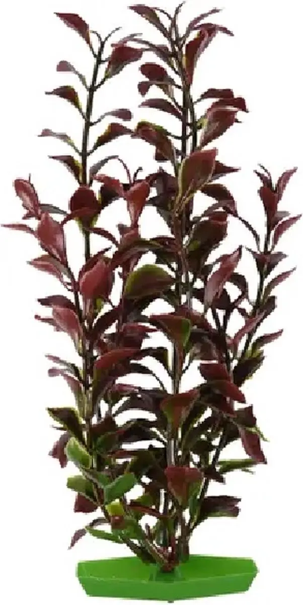 Flamingo Aquariumplanten Assortiment 10cm - afbeelding 6 van 6
