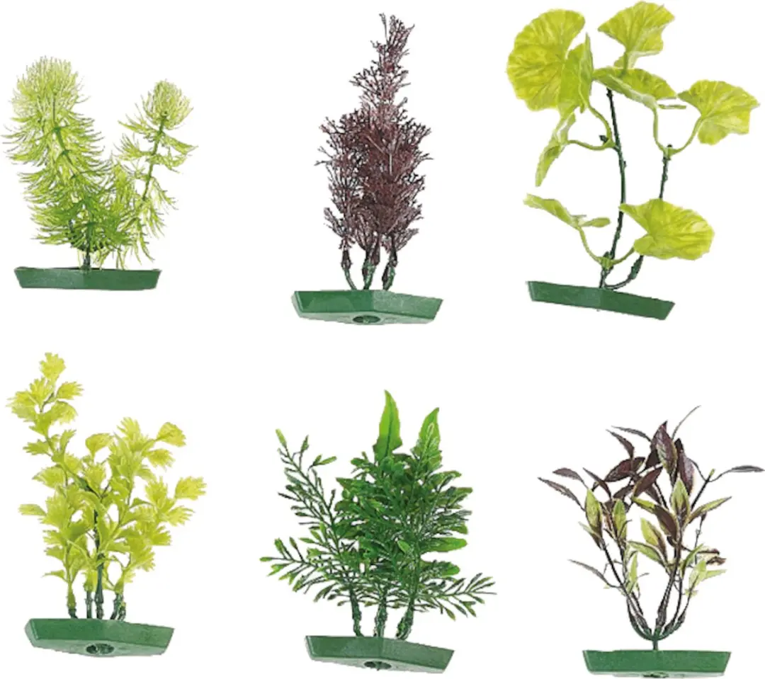 Flamingo Aquariumplanten Assortiment 10cm