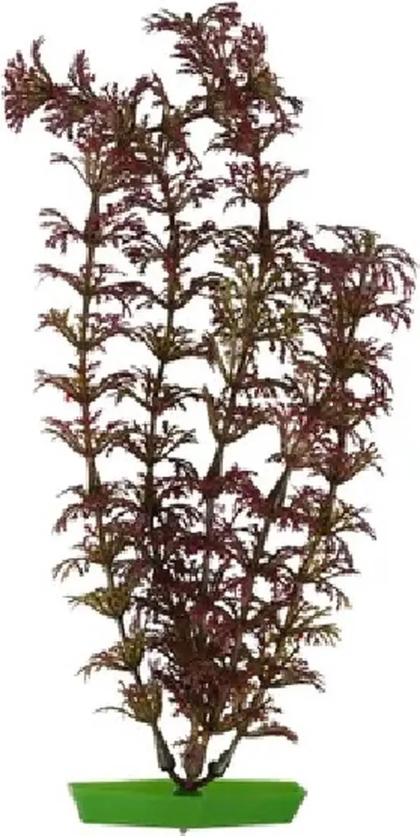 Flamingo Aquariumplanten Assortiment 10cm
